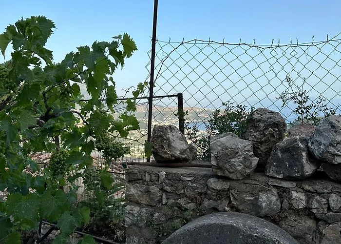 Ocean Breeze דירה